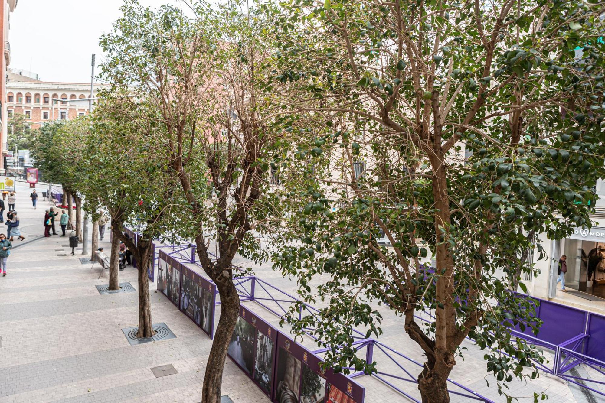Royar Apartamentos Jaen Luaran gambar